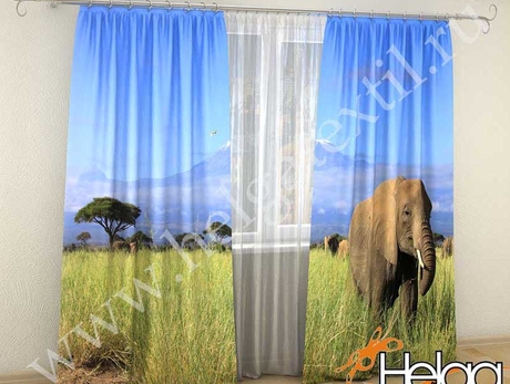 Слоны в Танзании Арт.2649